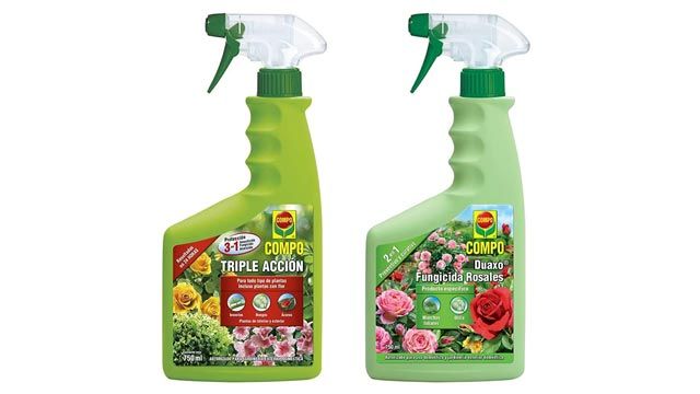 pack compo amazon