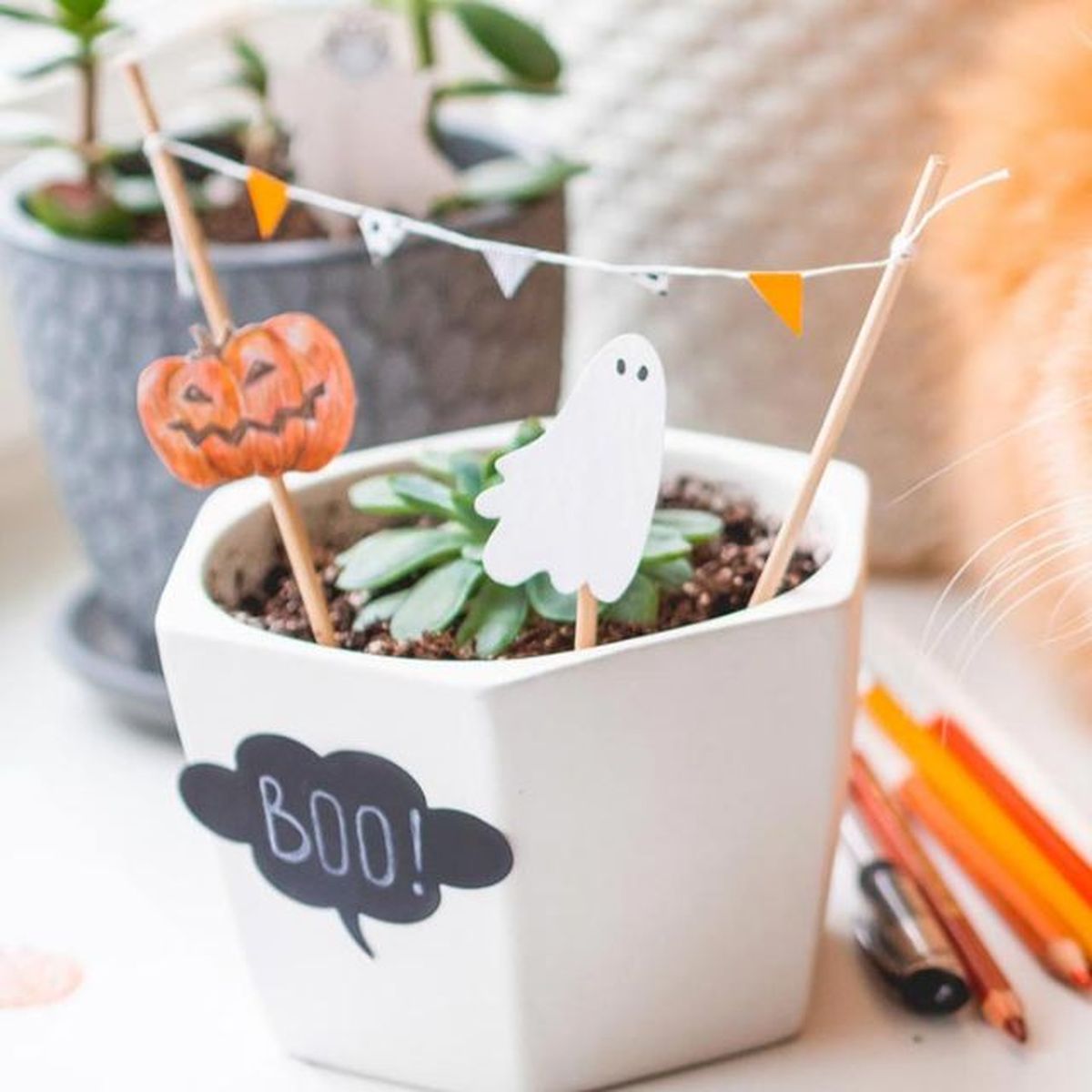 manualidades halloween para decorar plantas