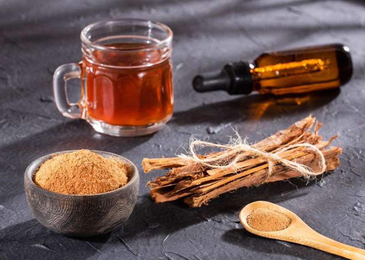 La planta uña de gato es conocida por sus propiedades medicinales.