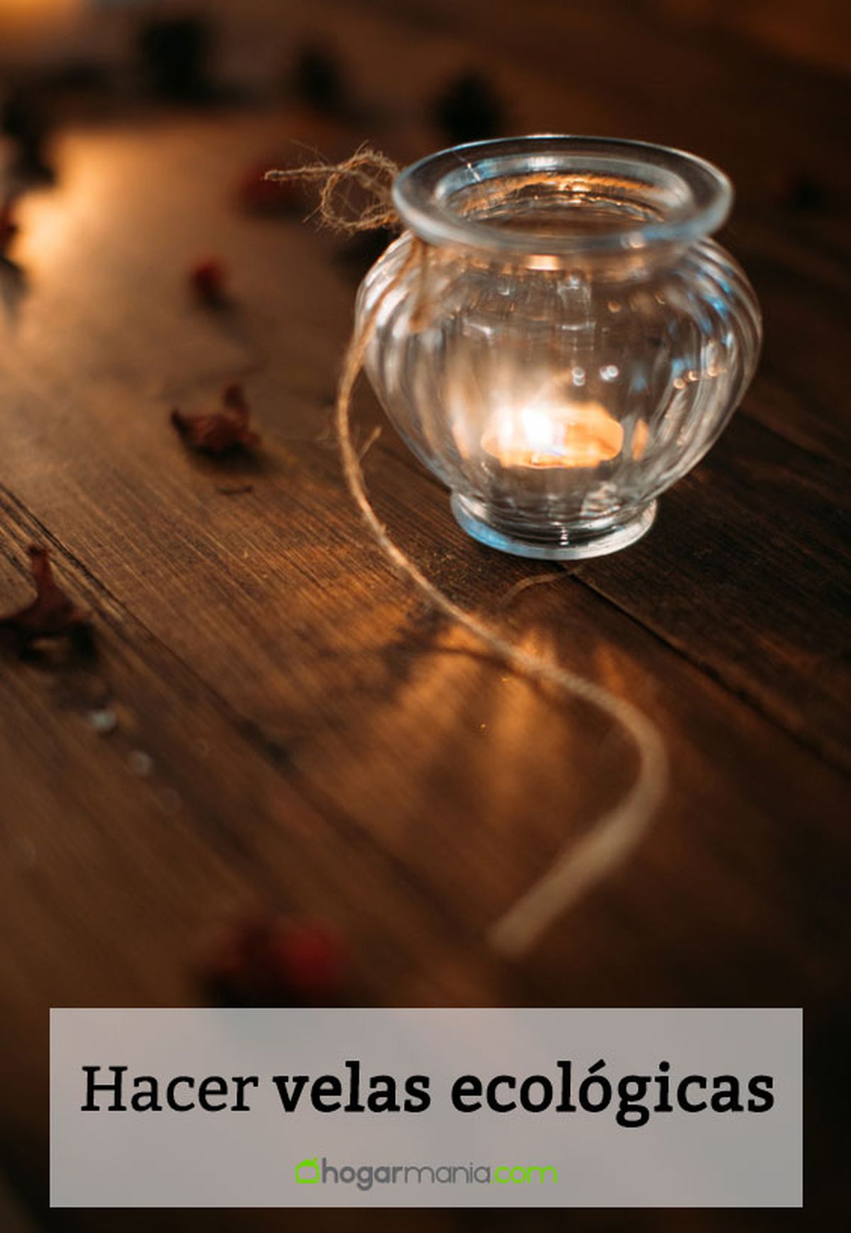 velas ecologicas vertical