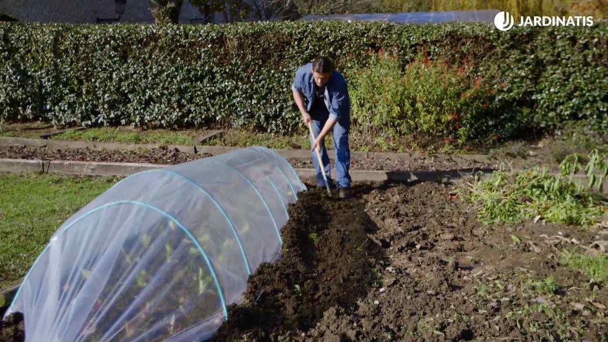 Proteger la huerta del frío es clave para asegurar una cosecha exitosa