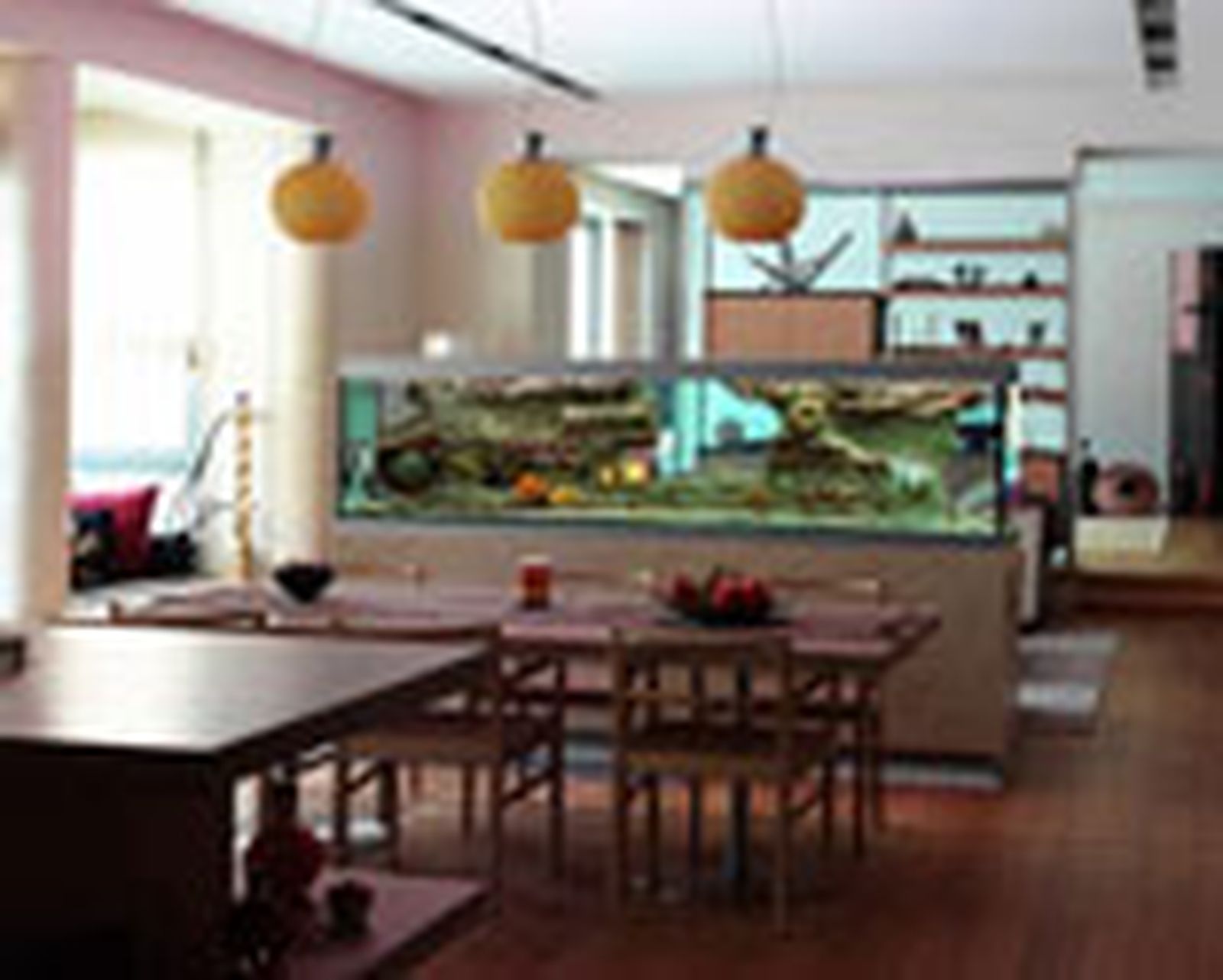 acuario2 m