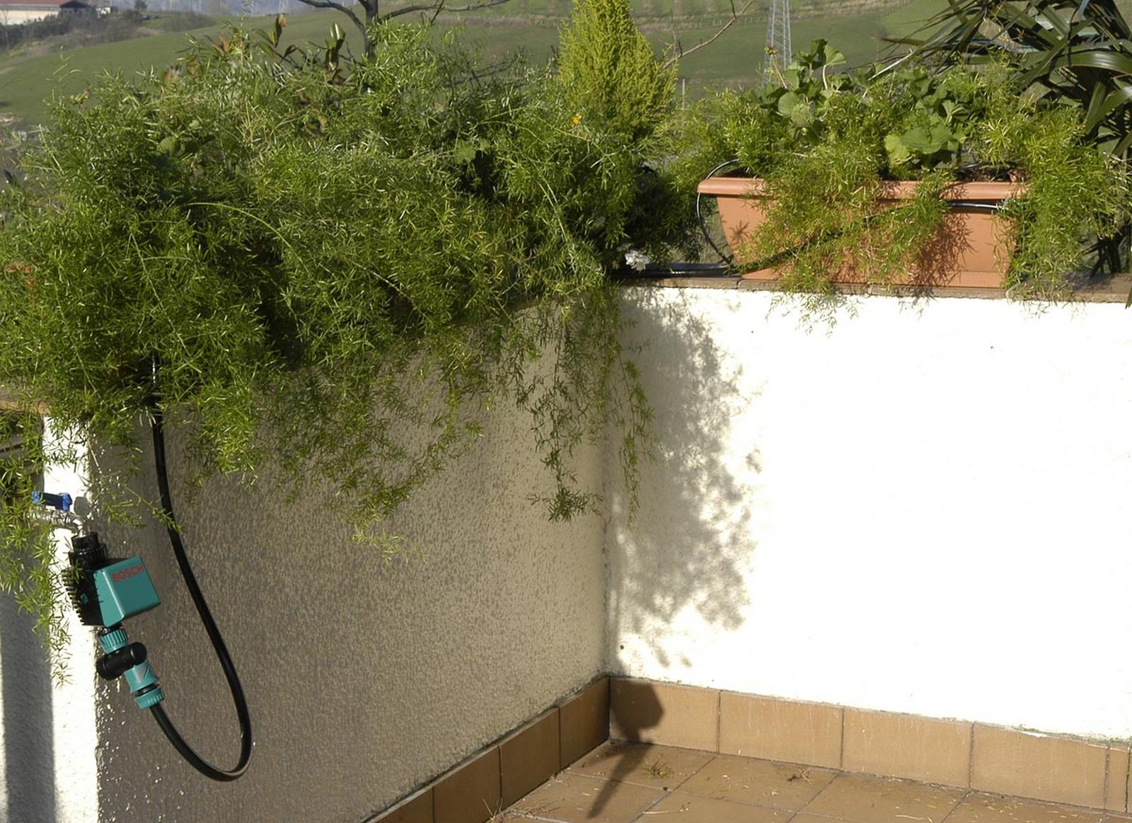 Cómo instalar un sistema de riego por goteo