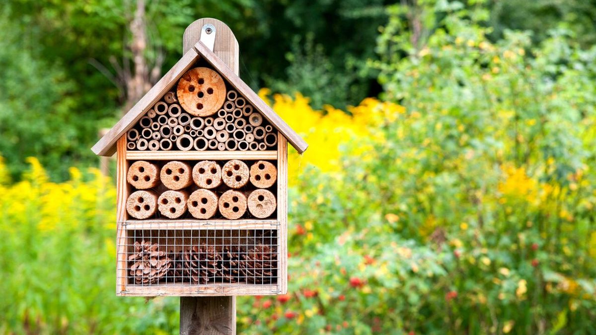 hoteles para atraer abejas