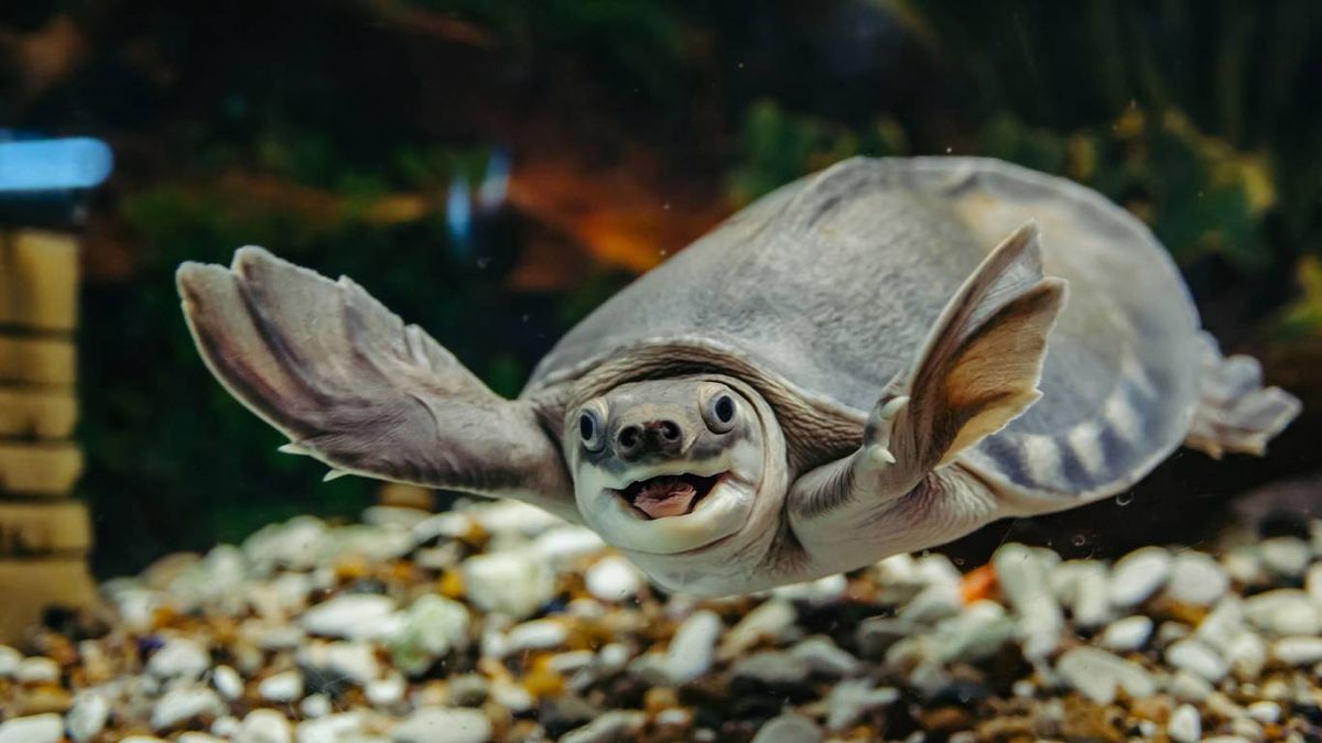 ¿Eres fan de las películas, series o videojuegos? Seguro que estas ideas te suenan.