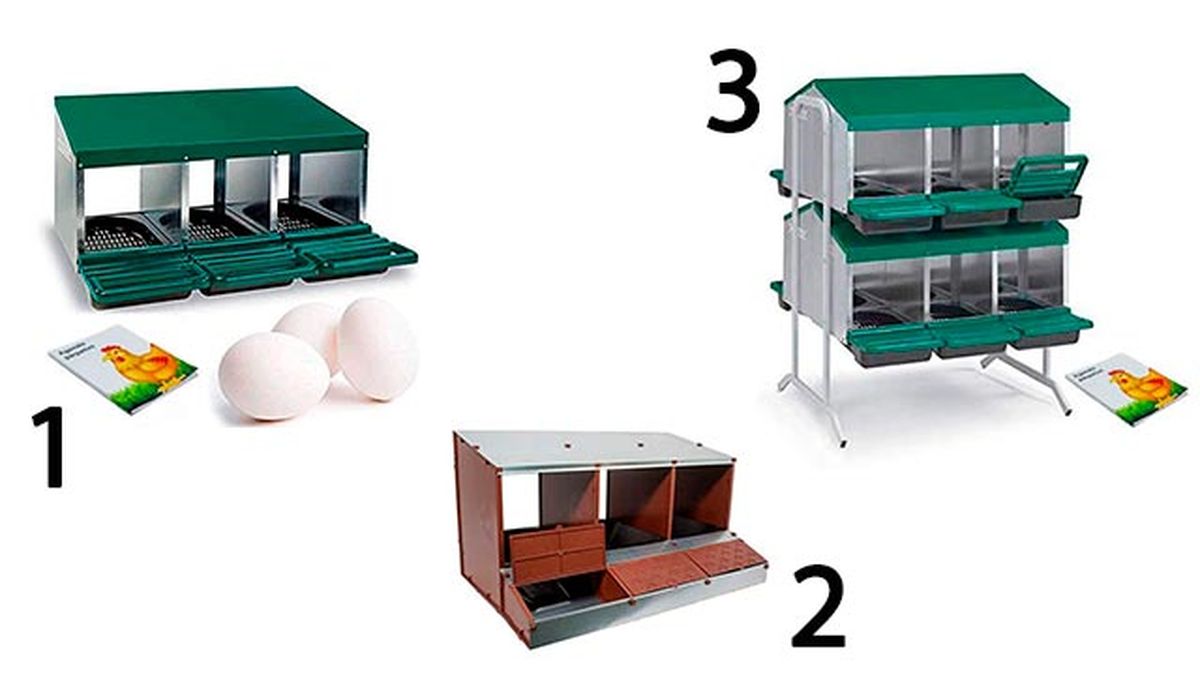 complementos ideales gallinero perfecto 5 ponederos gallinas