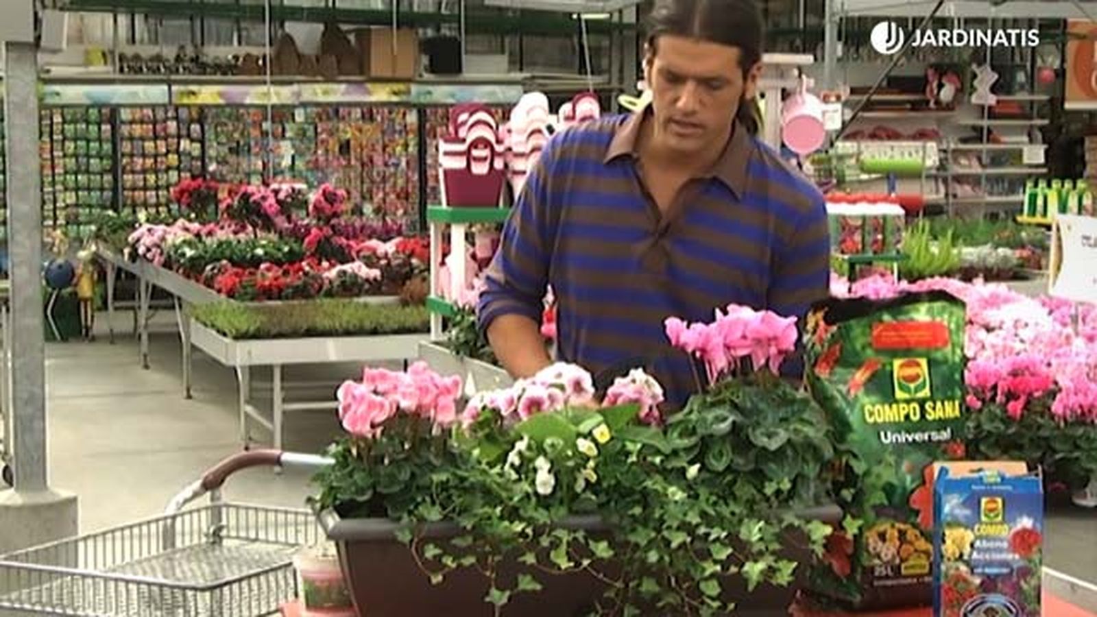 composicion flores plantas para balcon en otono deco411 jardin