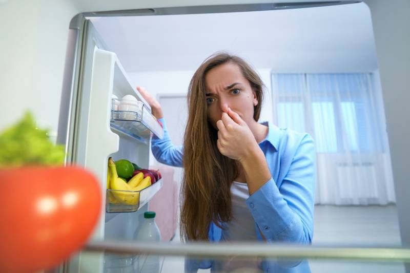 Un exceso de humedad puede provocar el deterioro prematuro de algunos alimentos.
