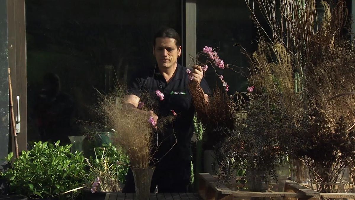 deco 761 jardin belleza flores secas arte floral