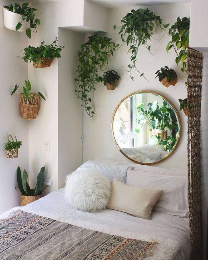 16 plantas pared dormitorio pinterest Costa Oeste Fighting for beauty with beauty