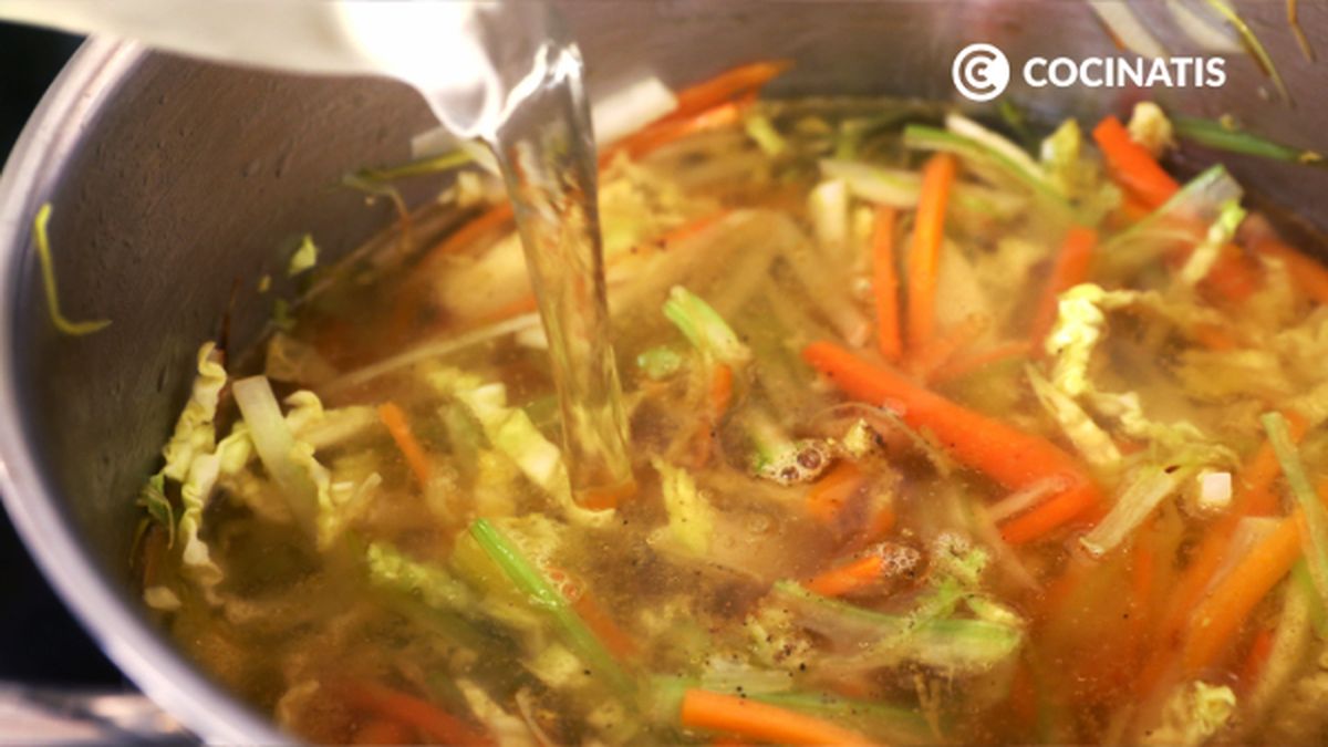 CTIS1014 receta sopa juliana paso 3