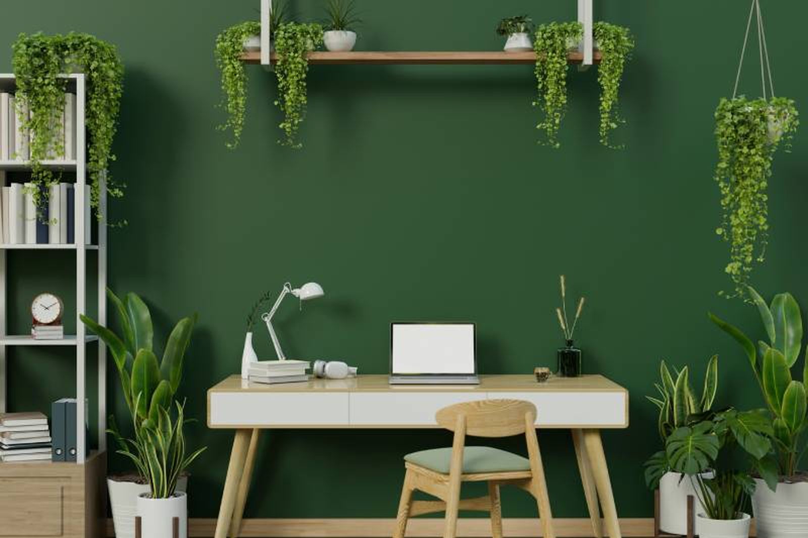Estudio con pared pintada en verde bosque con plantas colgantes.