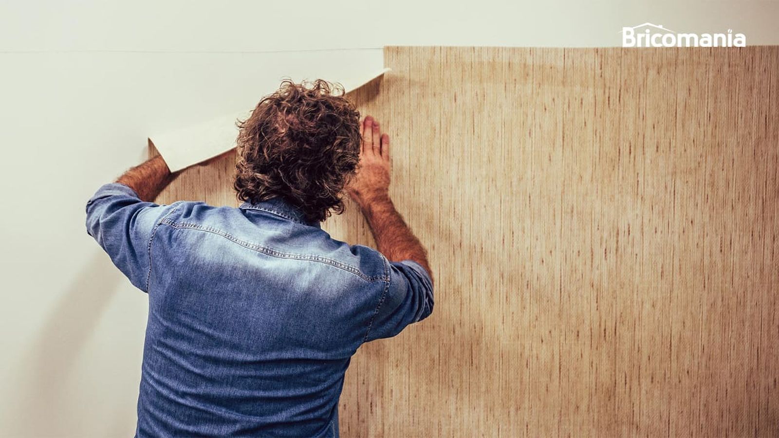 972 empapelar pared xl