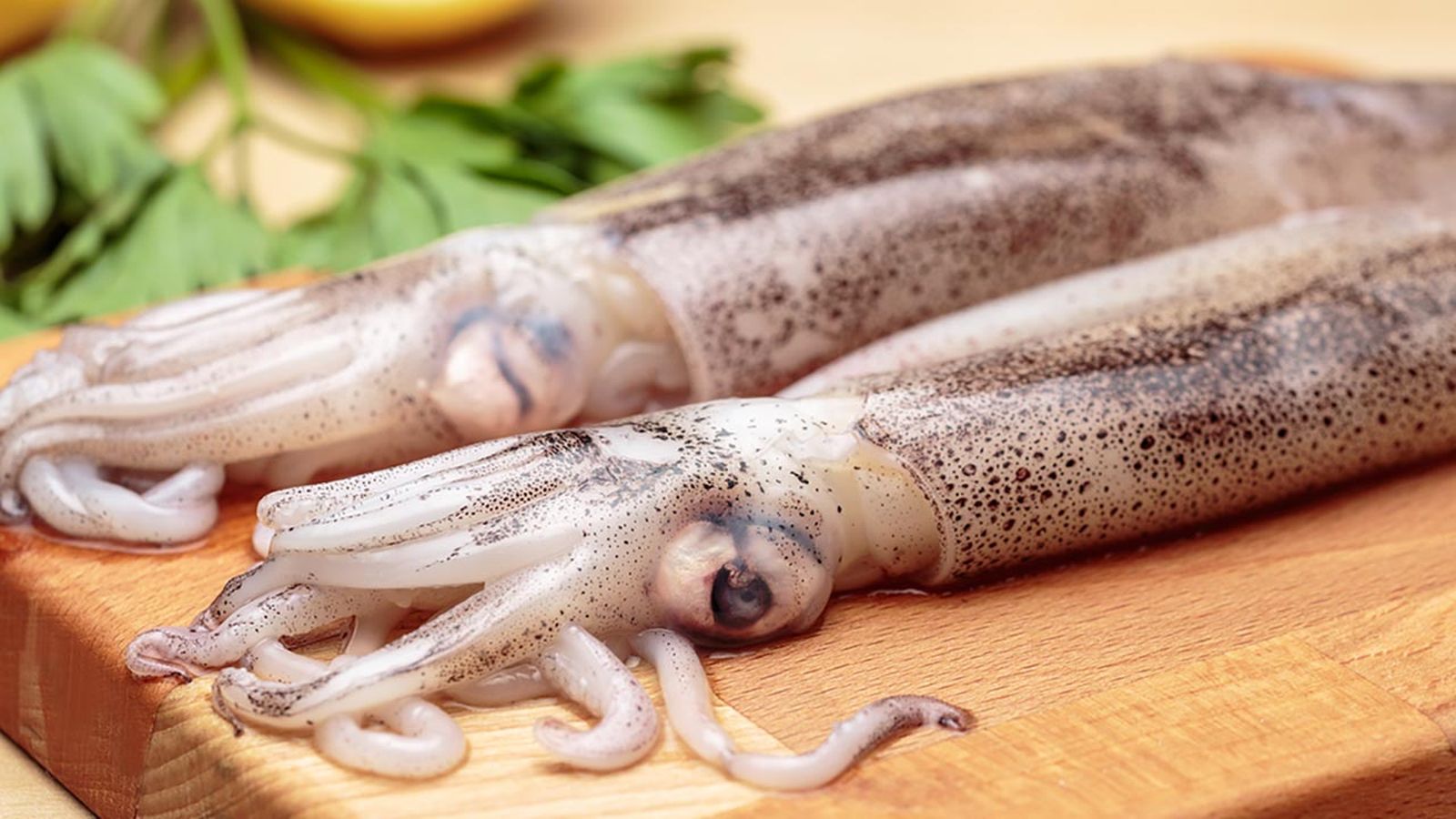 Cómo limpiar los calamares frescos  calamares