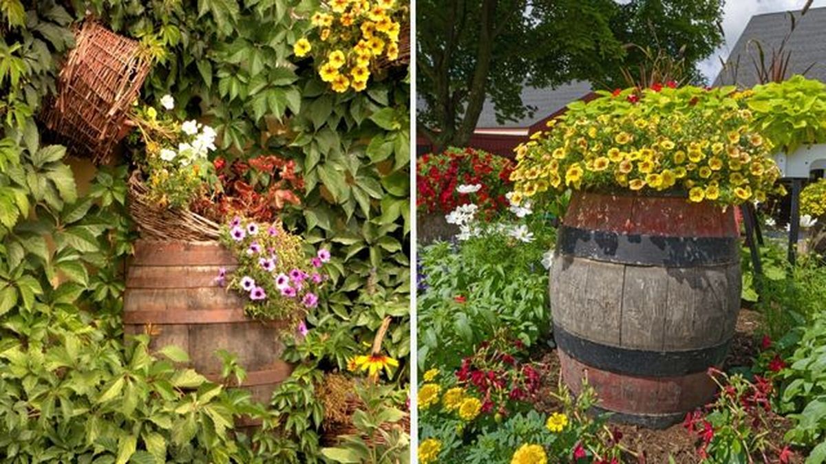 barriles con flores
