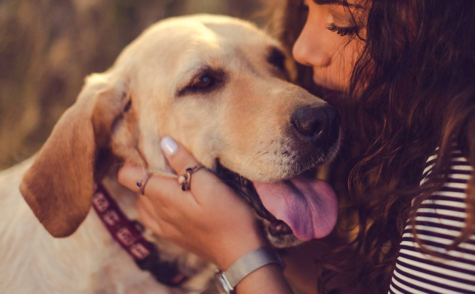 Esta práctica se ha hecho común entre los amantes de perros y gatos.