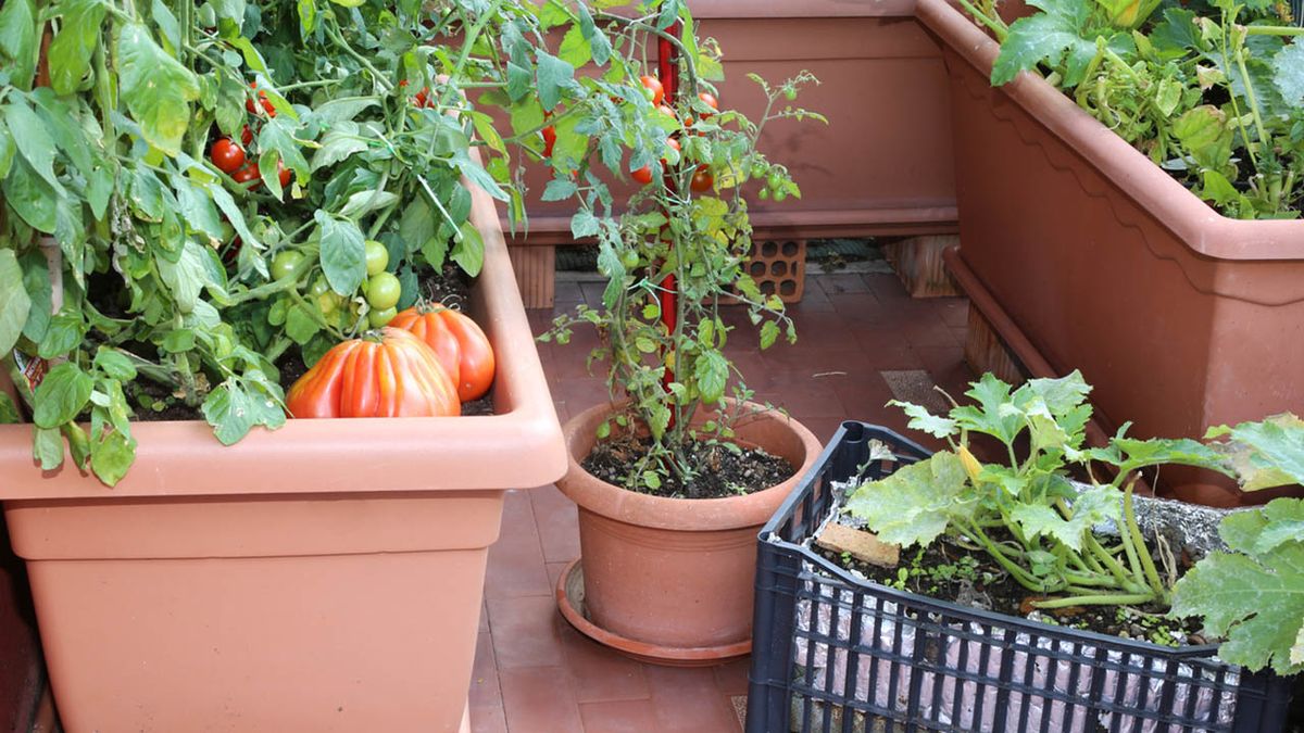 crea huerto urbano casa