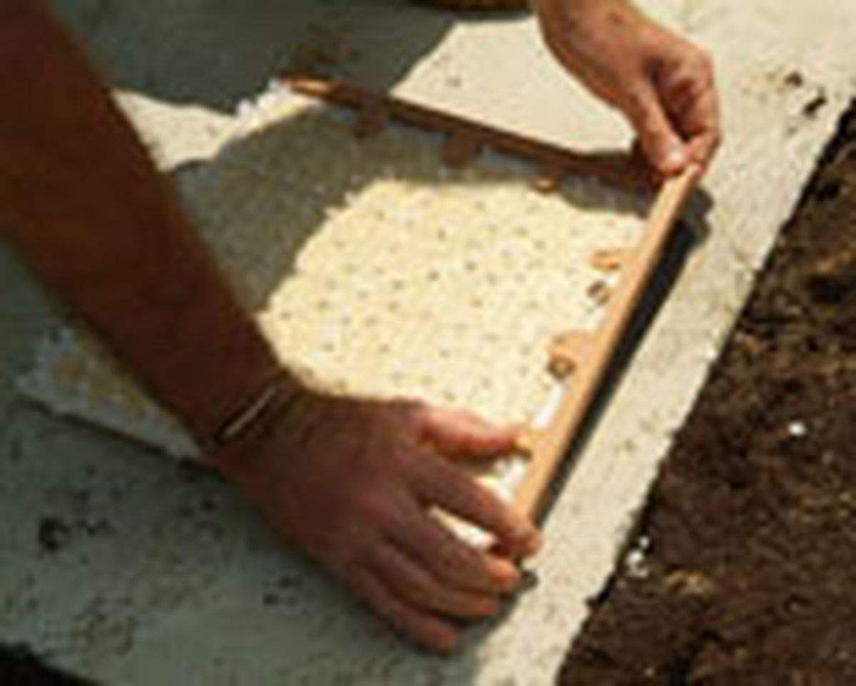 461 suel ext ceram p06