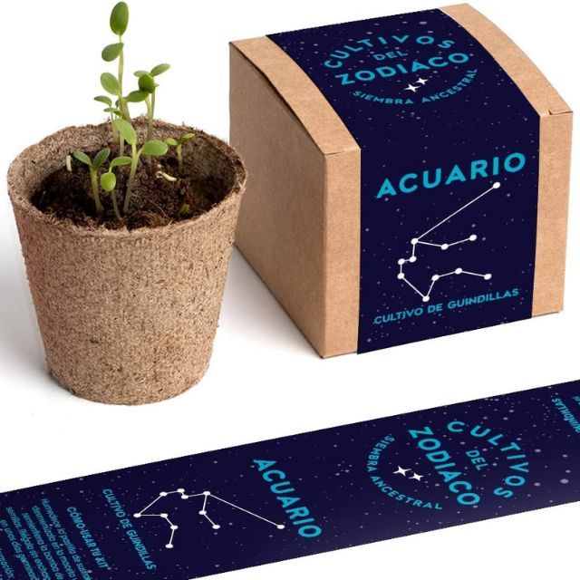 kit autocultivo acuario resetea