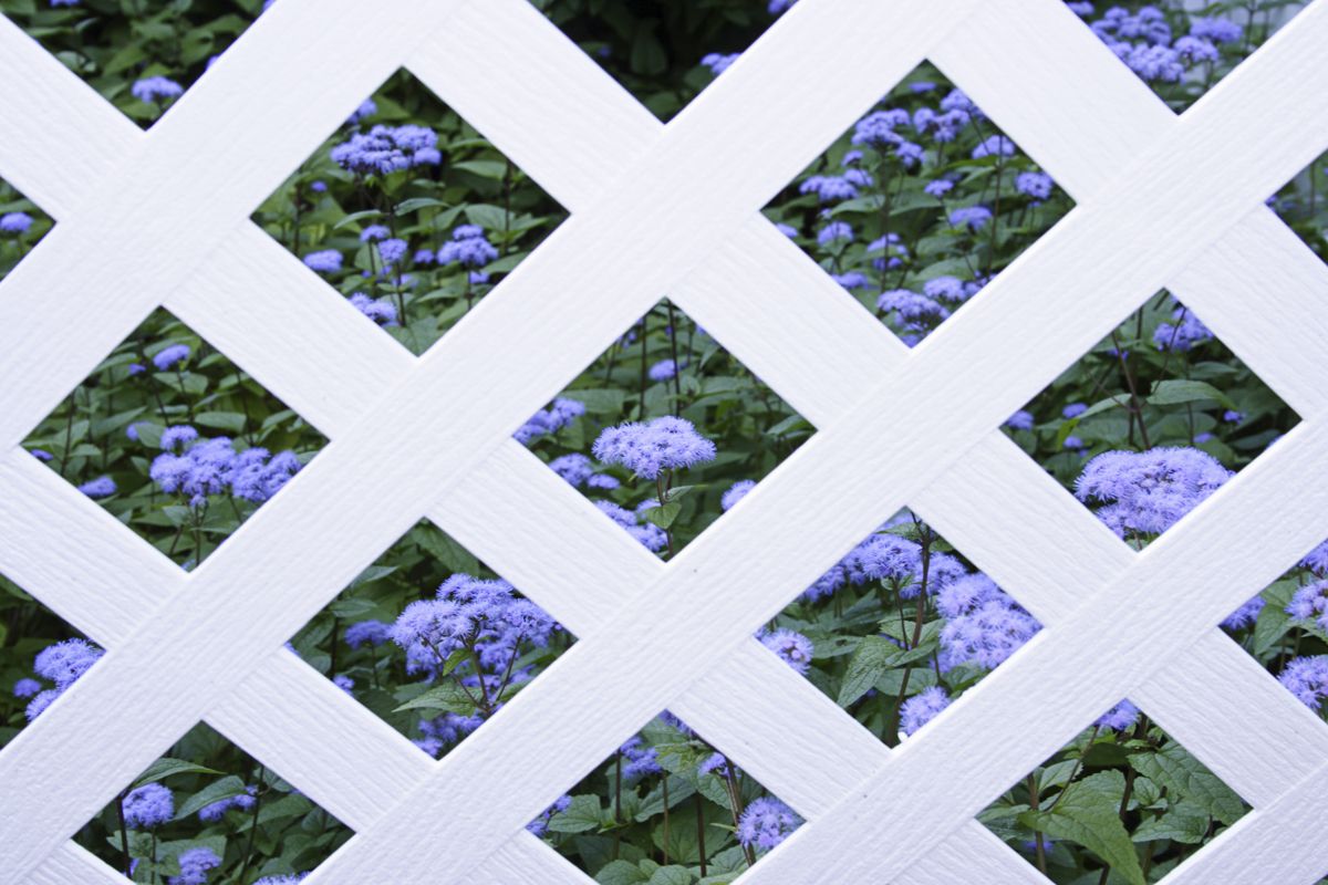 Instalar una celosía en la terraza