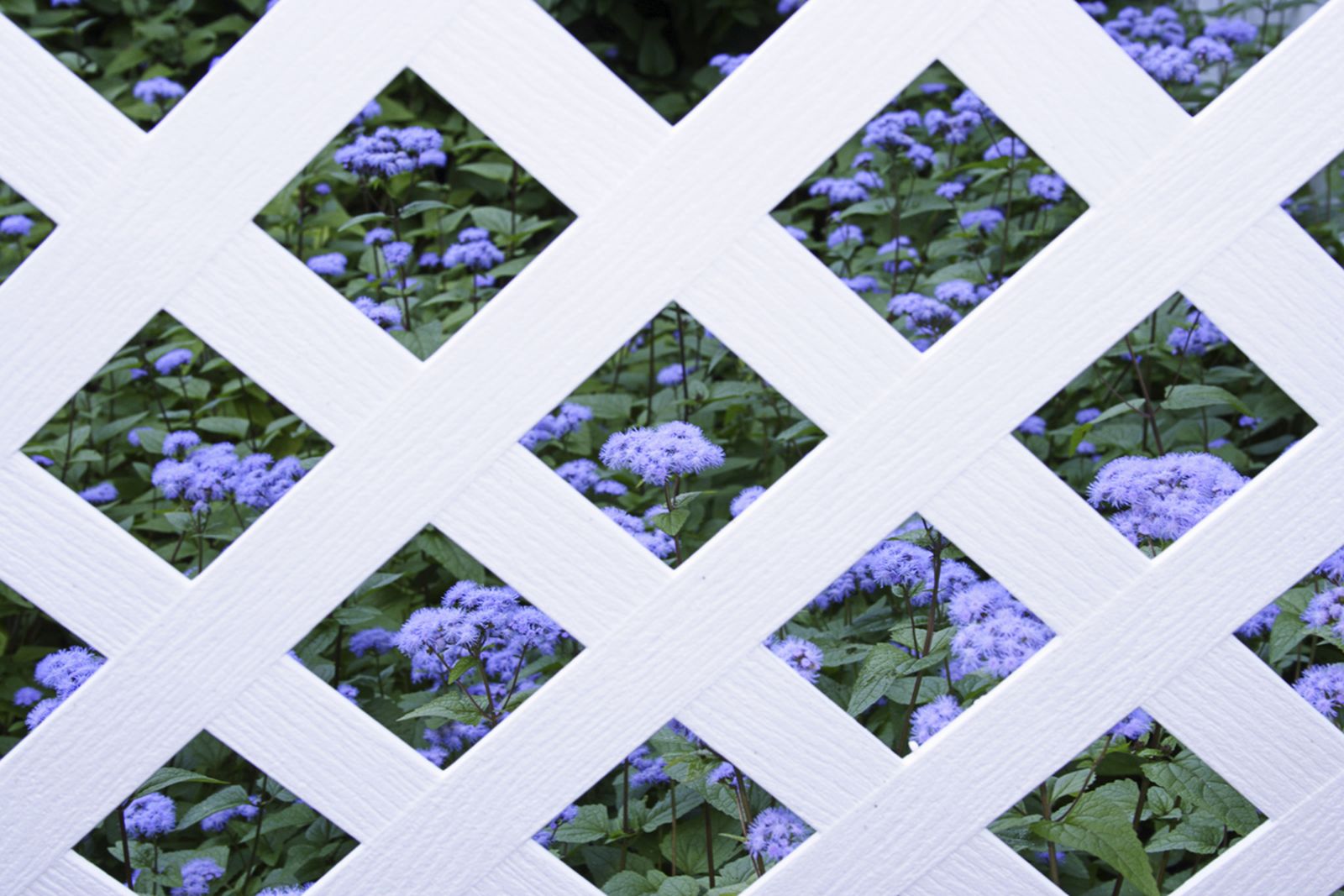 Instalar una celosía en la terraza