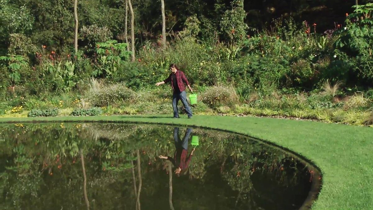 deco 625 abonar cesped en otono