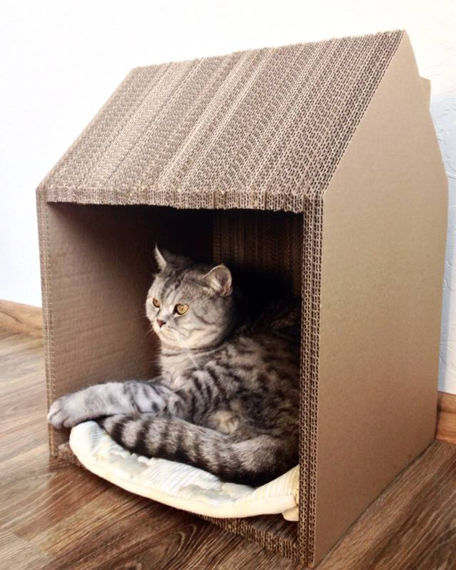 ideas reutilizar cajas carton casa gato