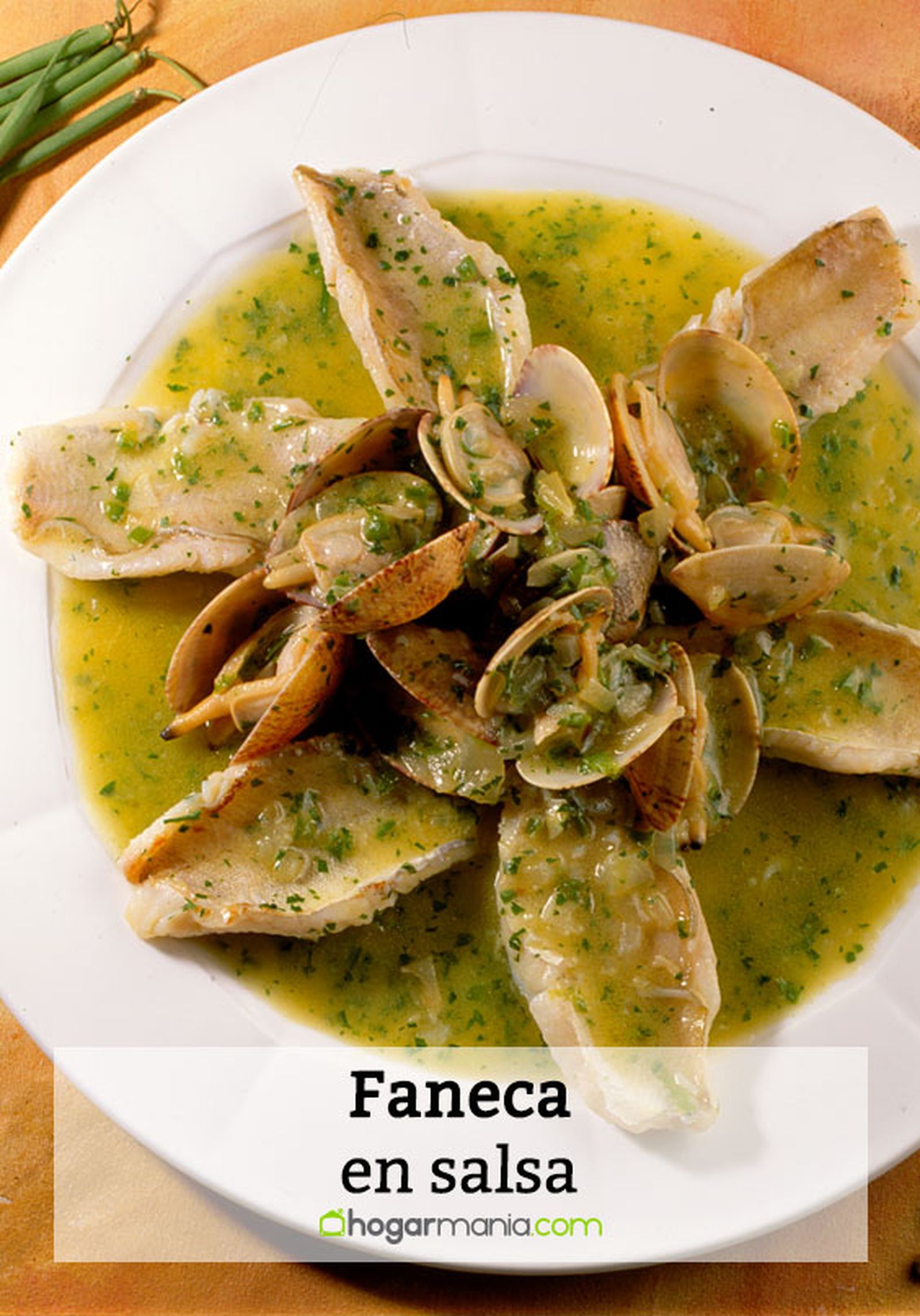 171 2 faneca salsa pin