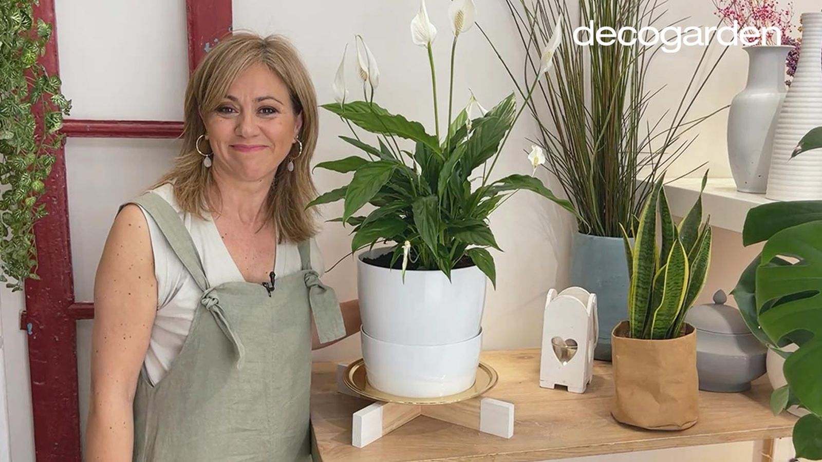 soporte para plantas