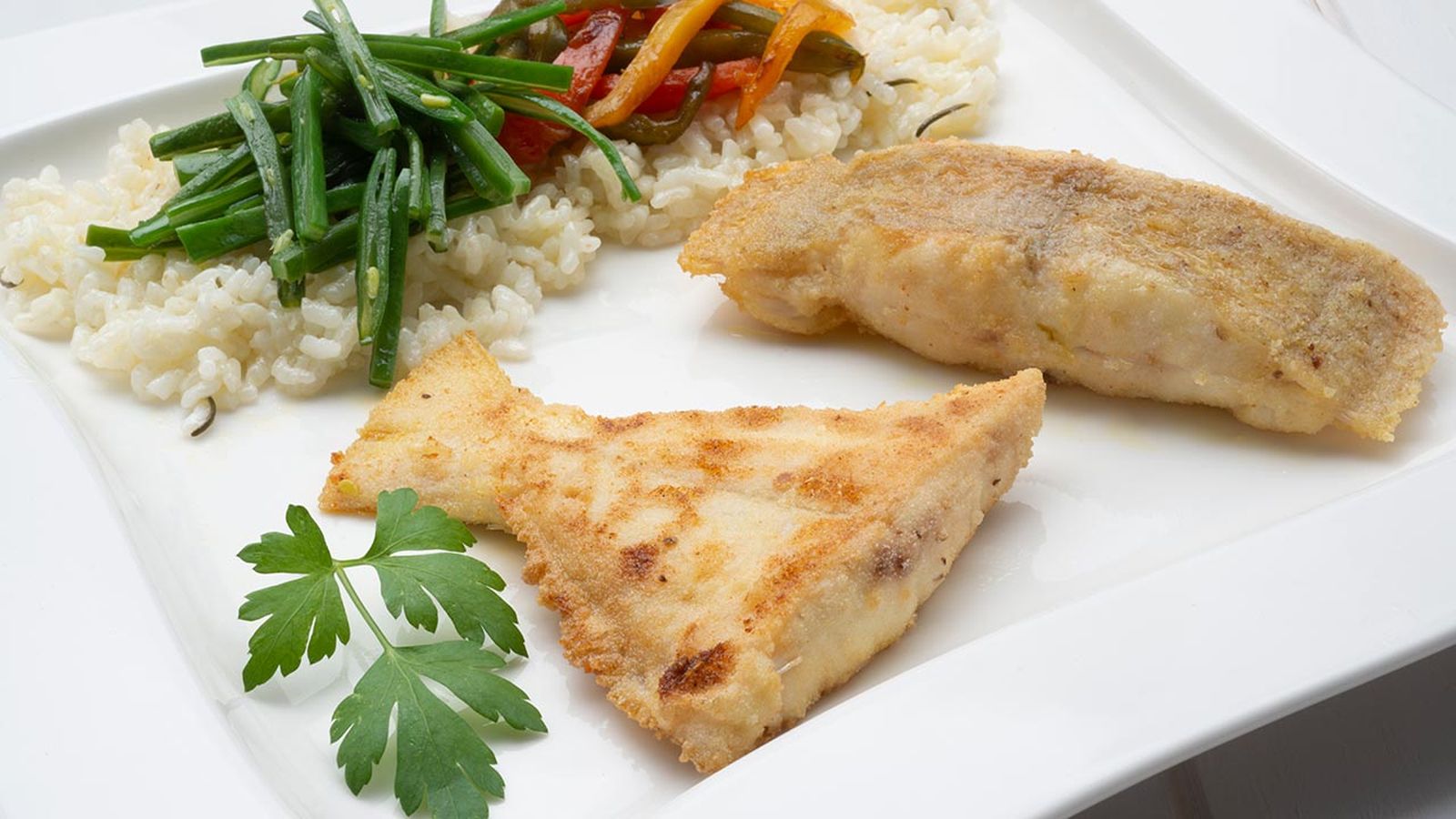 KARL6516 gallo frito xl