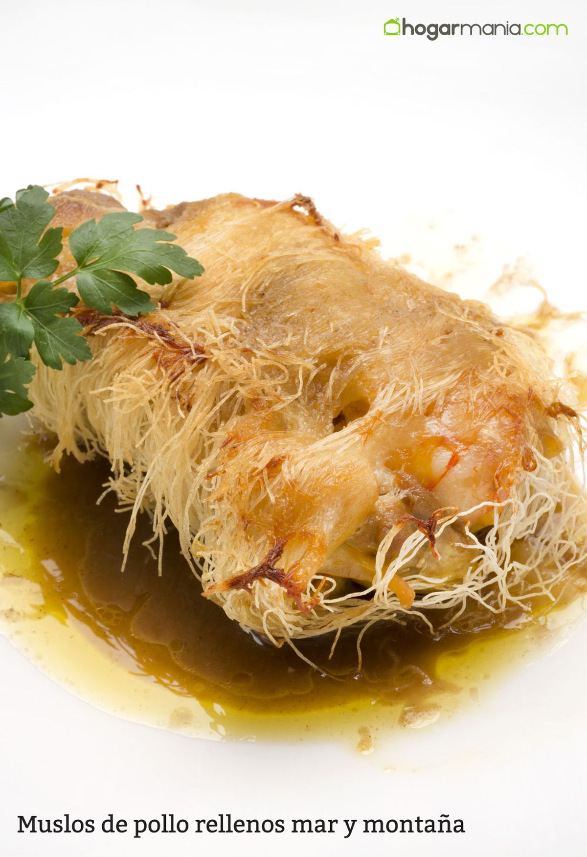 HCTU0329 Muslos de pollo rellenos mar y montaña vertical xl