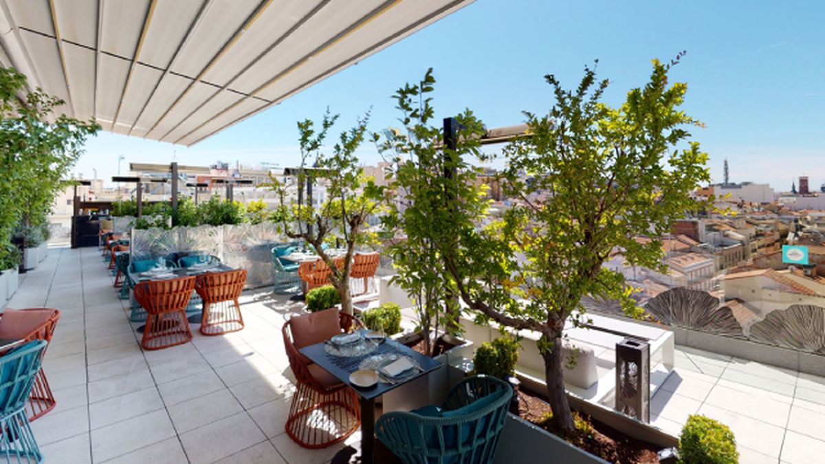 las mejores terrazas de madrid para disfrutar en primavera ginkgo