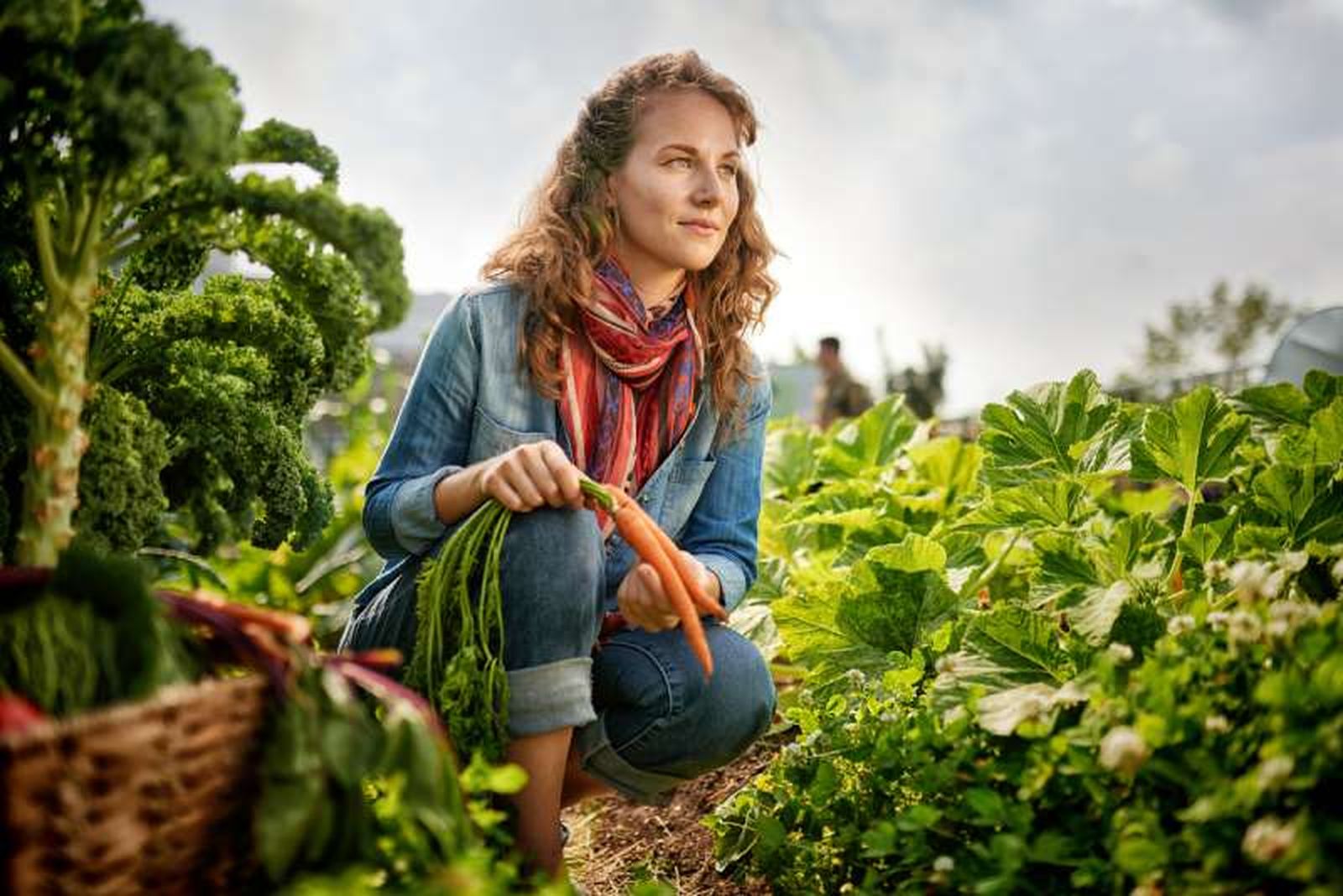 Las huertas sostenibles cultivan alimentos respetando el medio ambiente y promoviendo la biodiversidad.