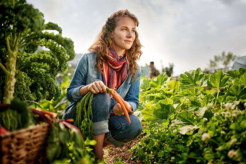 Las huertas sostenibles cultivan alimentos respetando el medio ambiente y promoviendo la biodiversidad.