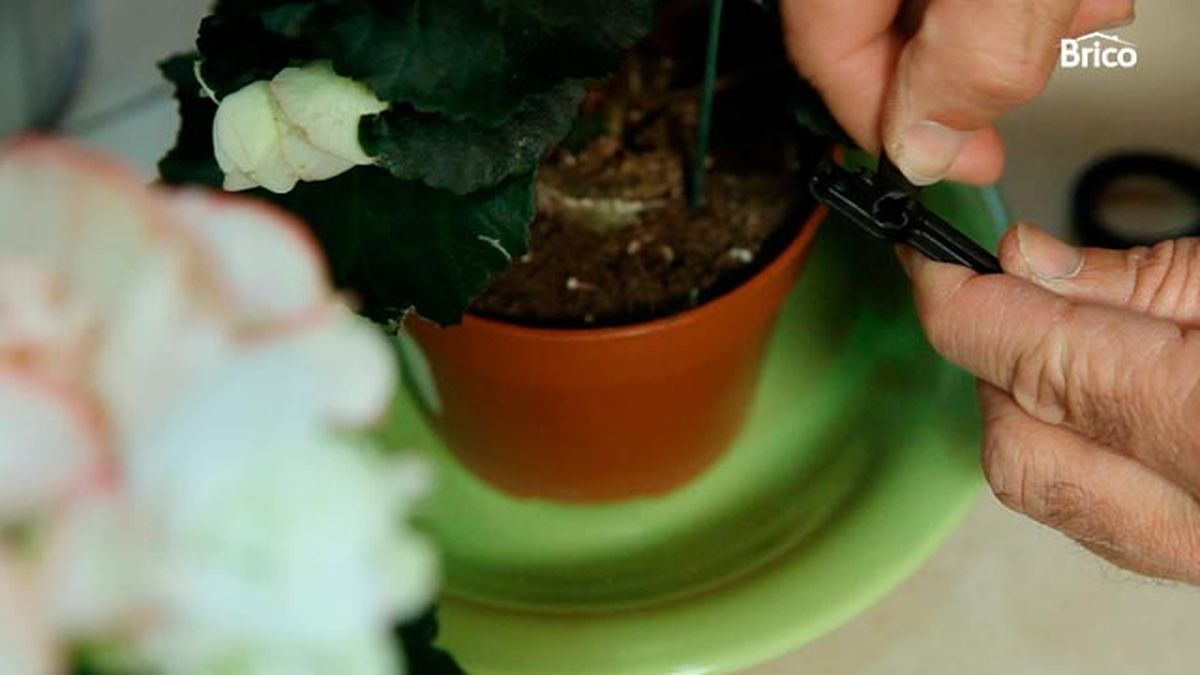 Kit de riego para macetas paso 9