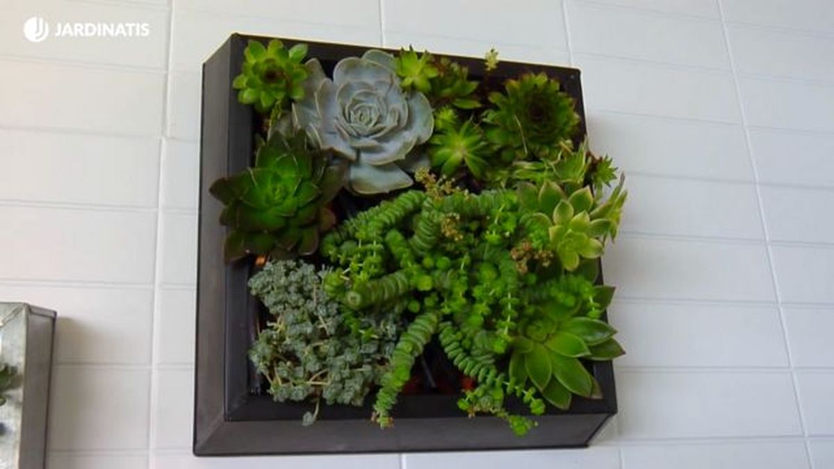 cuadro vivo suculentas brico 780