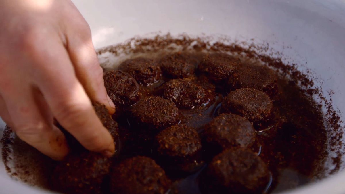 brico 0899 como hacer semillero hortalizas paso 1