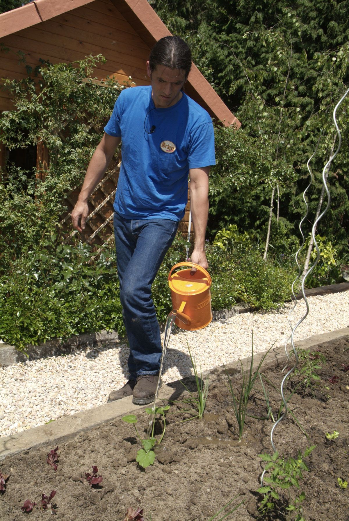 El huerto ornamental paso 8