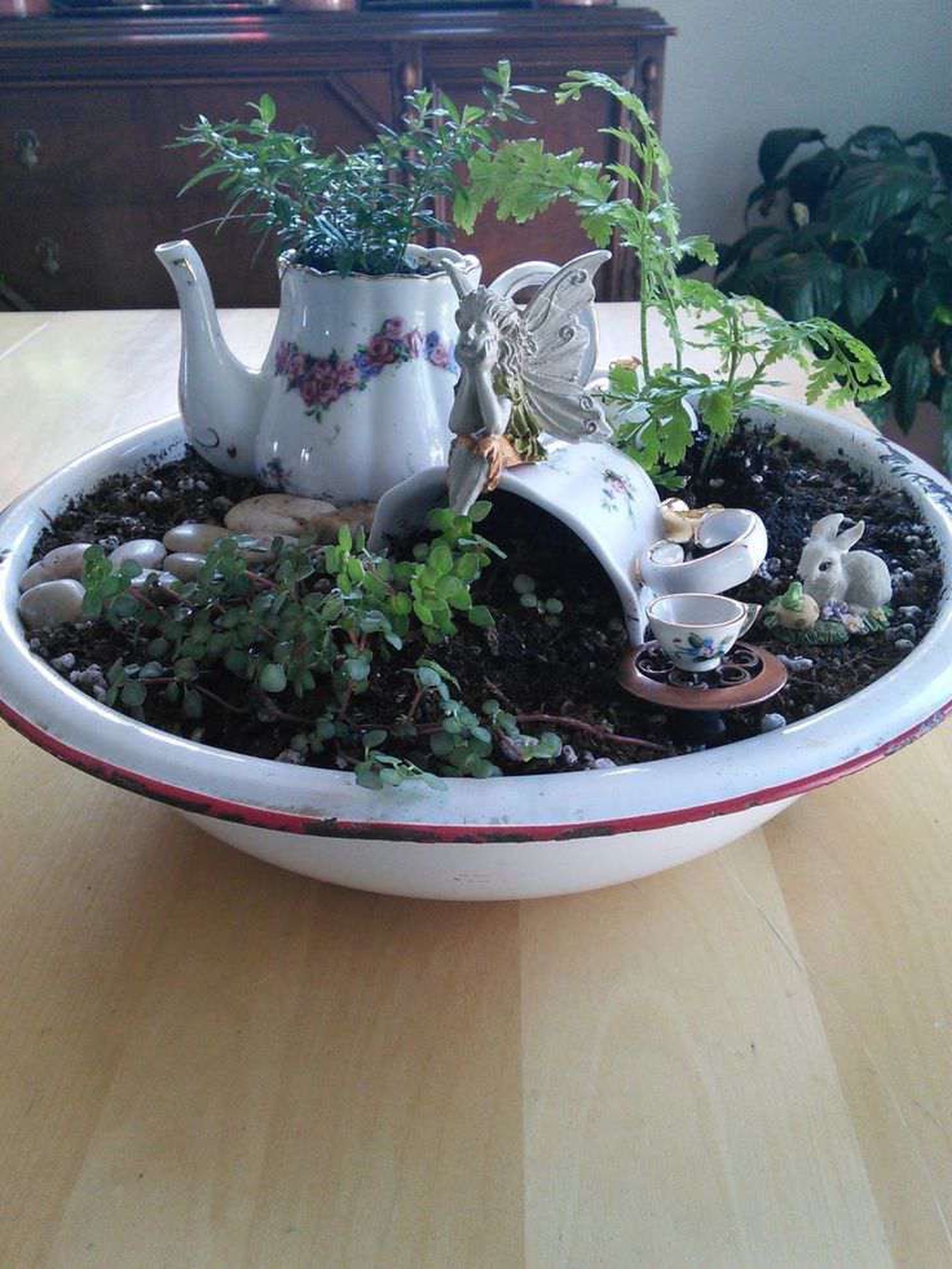 Este tipo de mini jardines son muy especiales
