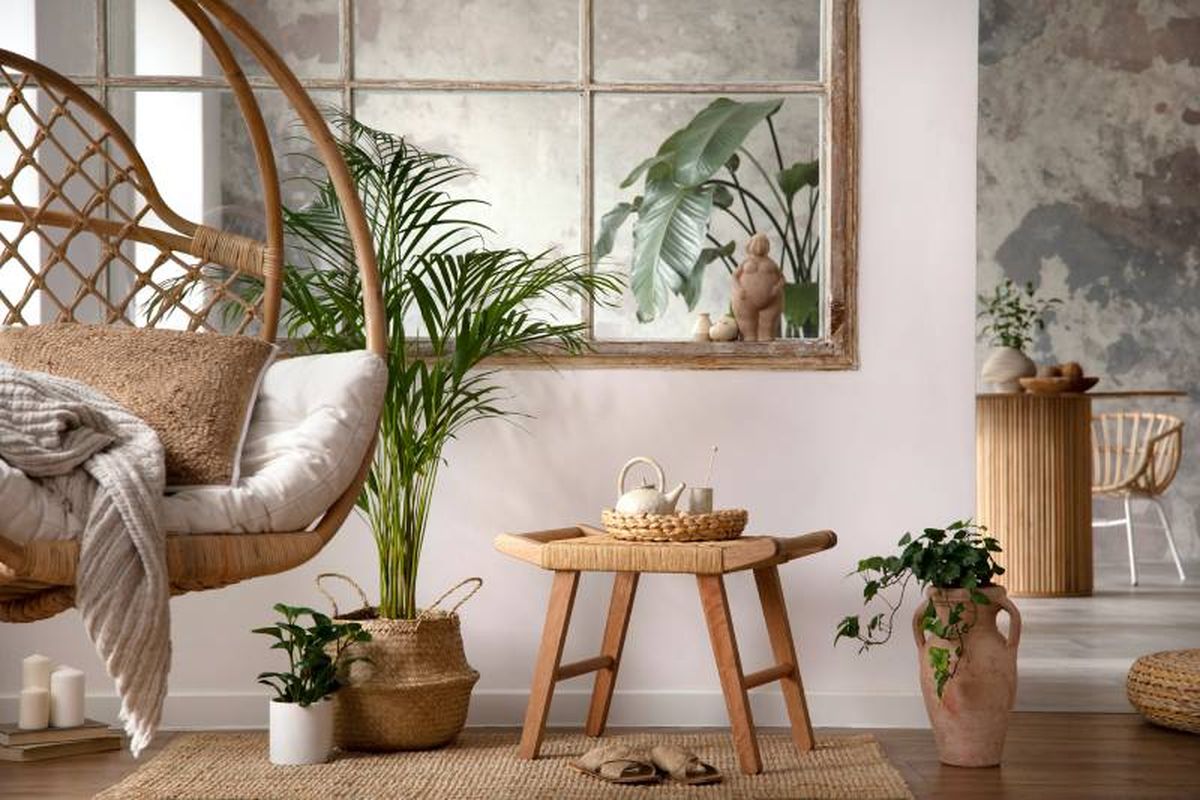 Decoración rústica con plantas.