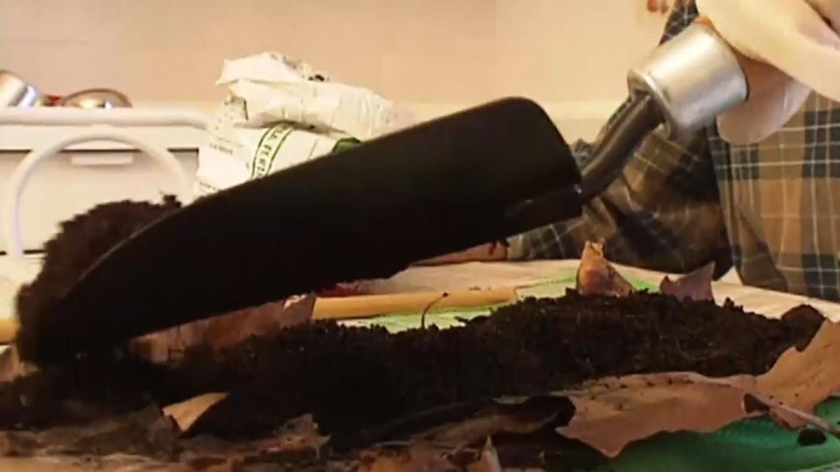 brico 031 construir tutor guia para las plantas paso 4