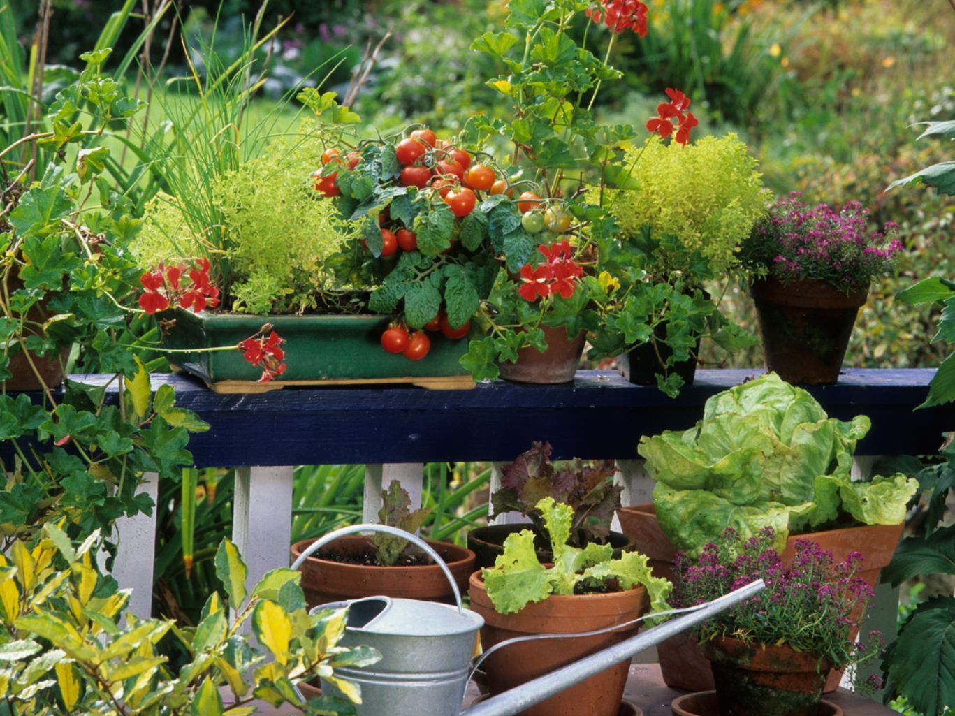 Flores y verduras en el balcón.