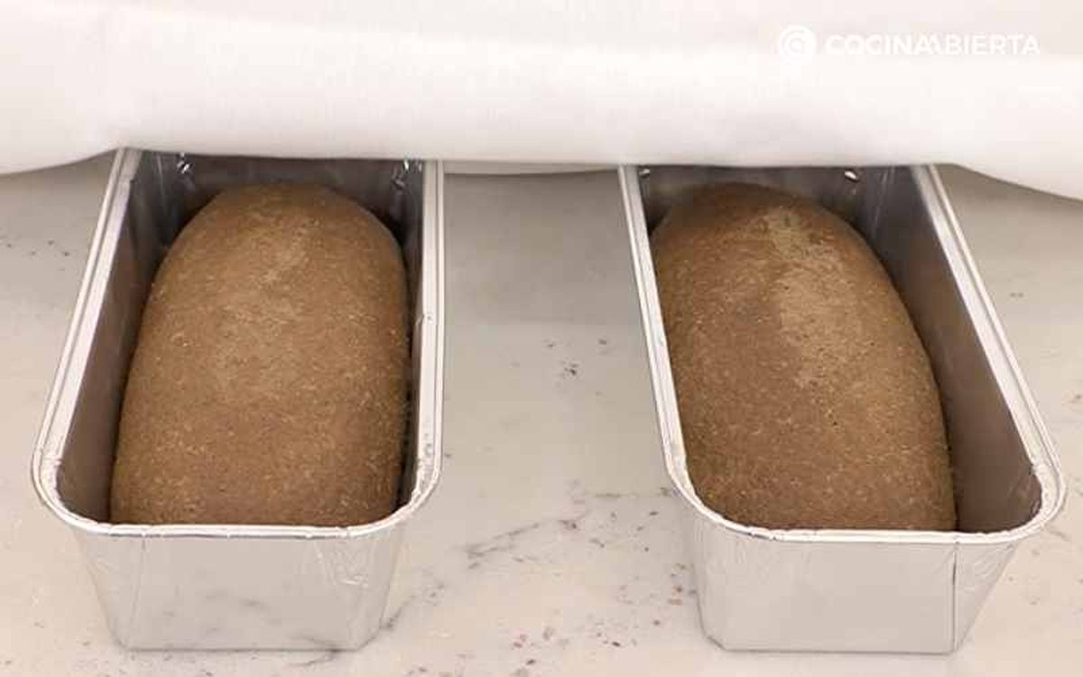 Pon los bollos en moldes