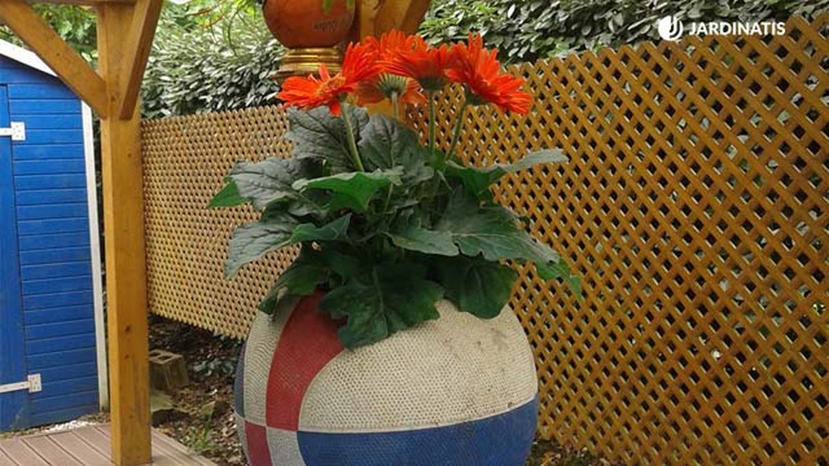 Hacer macetas con balones de baloncesto brico jardin 837