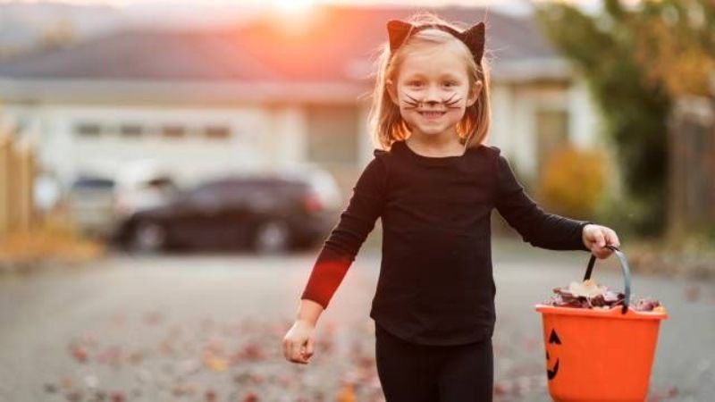 El maquillaje de gato es de los más sencillos para los niños que no quieren pintarse demasiado la cara