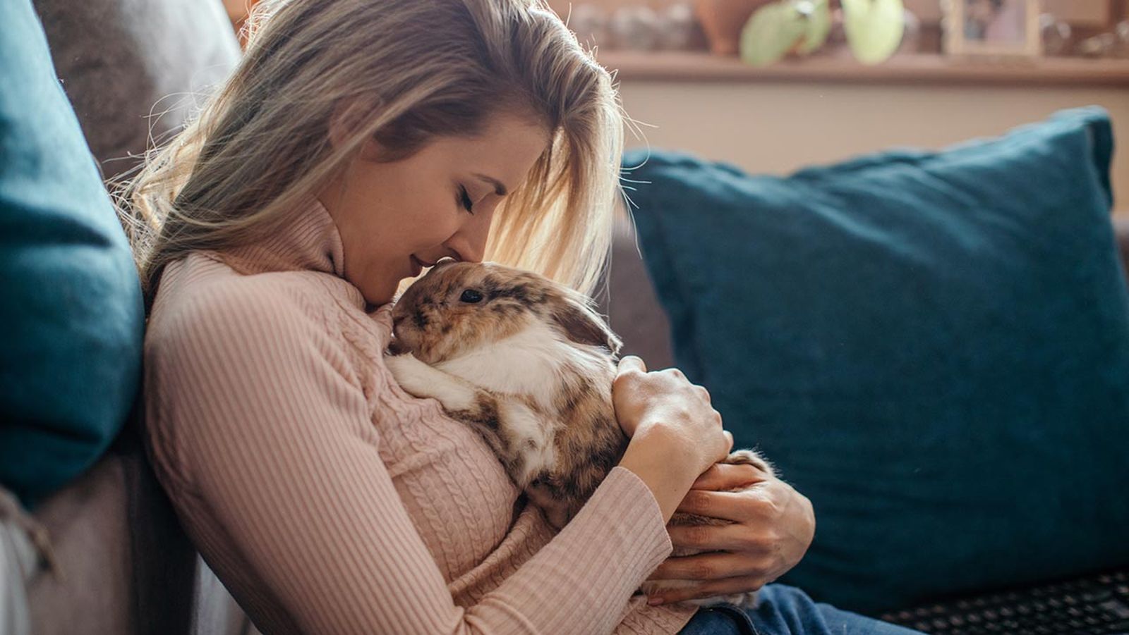 cuidados consejos conejos portada