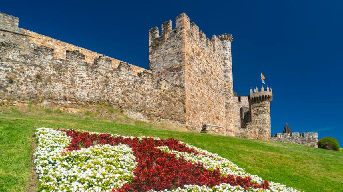viajar con perro en el puente de diciembre ponferrada