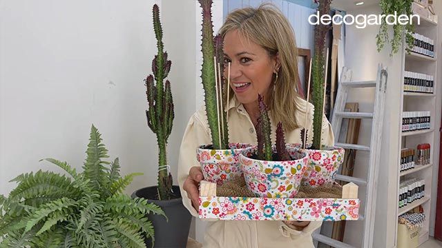 revivir cactus decorar maceta decoupage paso 9