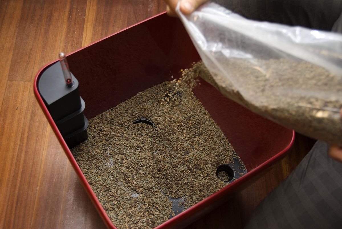 deko 276 decorar salon kentia paso 2