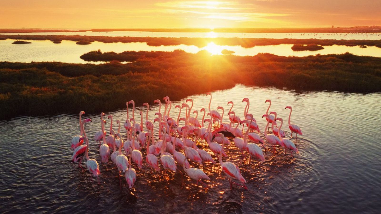 humedales que son e importancia